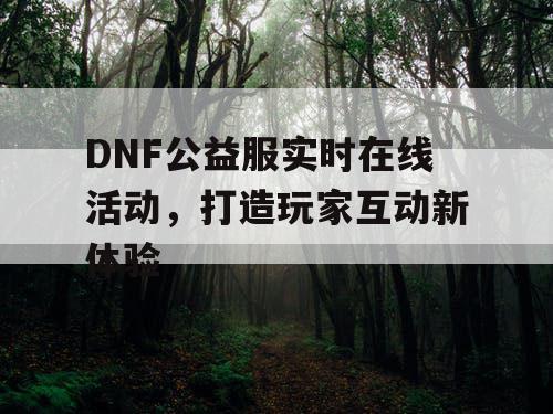 DNF公益服实时在线活动，打造玩家互动新体验