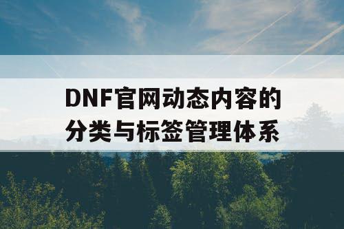 DNF官网动态内容的分类与标签管理体系