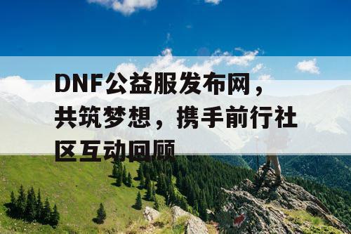 DNF公益服发布网，共筑梦想，携手前行社区互动回顾