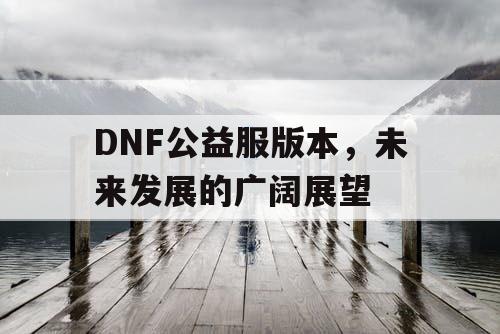 DNF公益服版本，未来发展的广阔展望