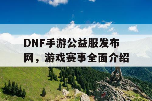 DNF手游公益服发布网，游戏赛事全面介绍