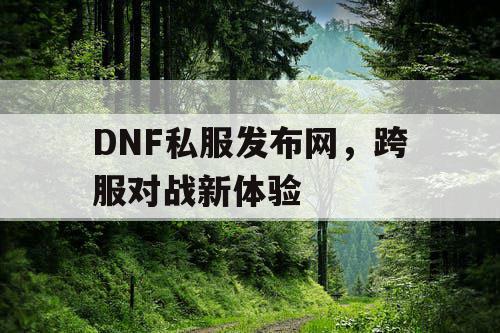 DNF私服发布网，跨服对战新体验