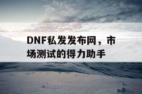 DNF私发发布网，市场测试的得力助手