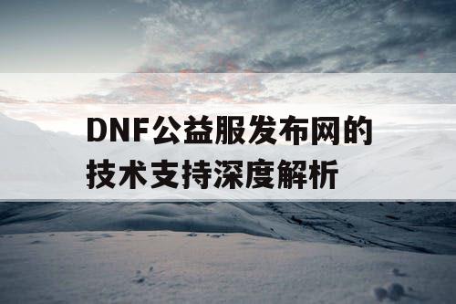 DNF公益服发布网的技术支持深度解析