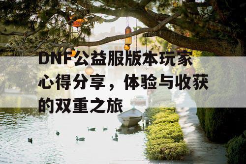 DNF公益服版本玩家心得分享，体验与收获的双重之旅