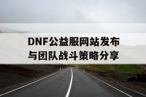 DNF公益服网站发布与团队战斗策略分享