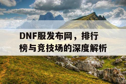 DNF服发布网，排行榜与竞技场的深度解析