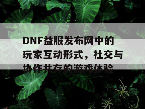 DNF益服发布网中的玩家互动形式	，社交与协作共存的游戏体验