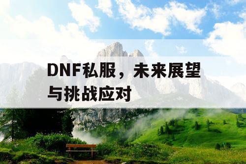 DNF私服，未来展望与挑战应对