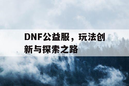 DNF公益服，玩法创新与探索之路