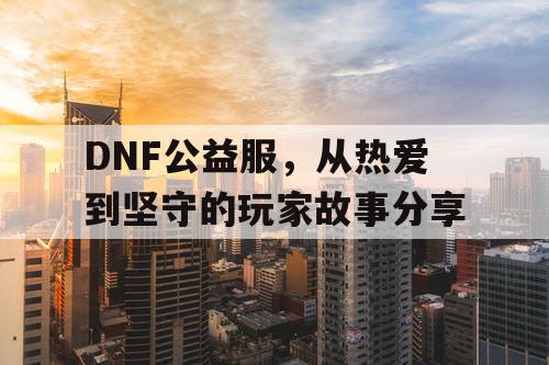 DNF公益服	，从热爱到坚守的玩家故事分享