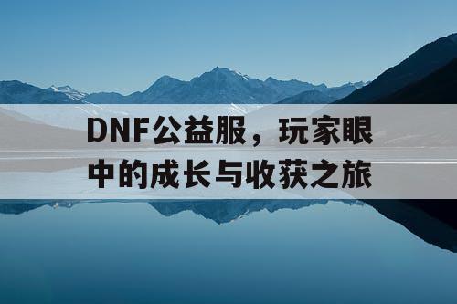 DNF公益服	，玩家眼中的成长与收获之旅