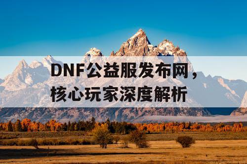 DNF公益服发布网，核心玩家深度解析