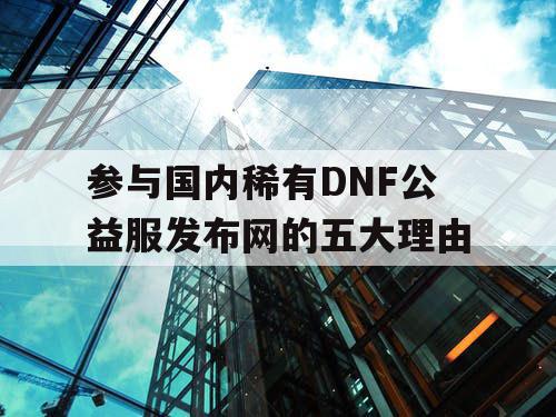 参与国内稀有DNF公益服发布网的五大理由