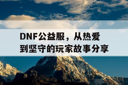 DNF公益服	，从热爱到坚守的玩家故事分享