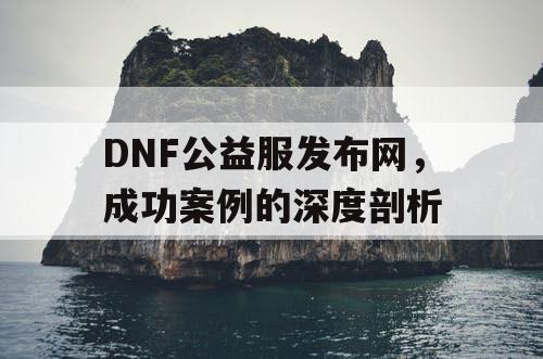 DNF公益服发布网，成功案例的深度剖析