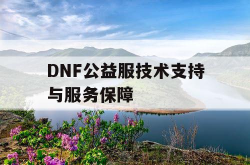 DNF公益服技术支持与服务保障