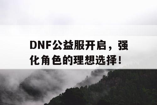 DNF公益服开启，强化角色的理想选择！