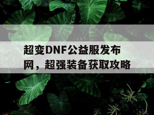 超变DNF公益服发布网	，超强装备获取攻略