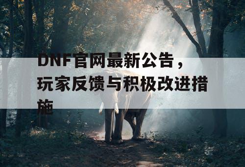 DNF官网最新公告，玩家反馈与积极改进措施