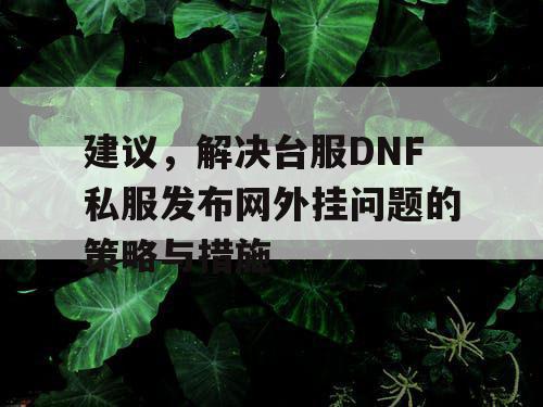 建议，解决台服DNF私服发布网外挂问题的策略与措施