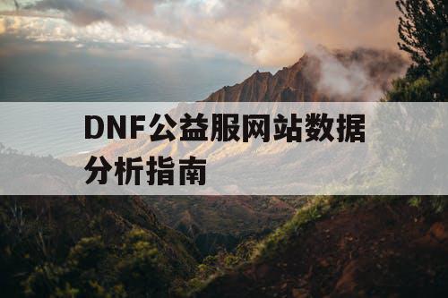 DNF公益服网站数据分析指南