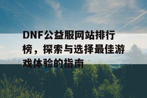 DNF公益服网站排行榜	，探索与选择最佳游戏体验的指南