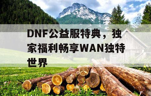 DNF公益服特典，独家福利畅享WAN独特世界