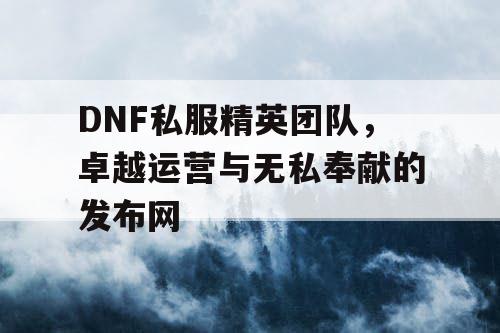 DNF私服精英团队，卓越运营与无私奉献的发布网