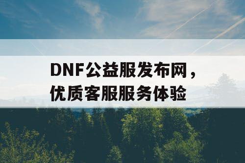 DNF公益服发布网，优质客服服务体验