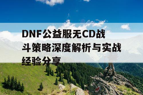 DNF公益服无CD战斗策略深度解析与实战经验分享