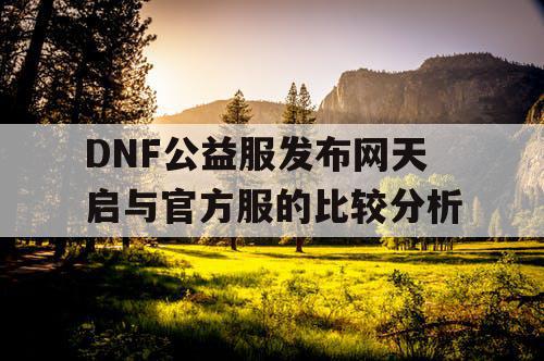 DNF公益服发布网天启与官方服的比较分析