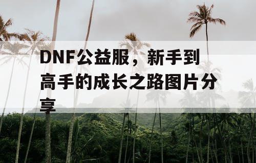 DNF公益服，新手到高手的成长之路图片分享