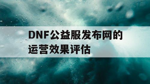 DNF公益服发布网的运营效果评估