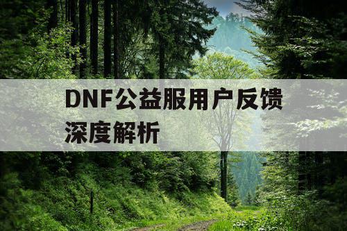 DNF公益服用户反馈深度解析