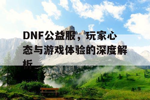 DNF公益服	，玩家心态与游戏体验的深度解析