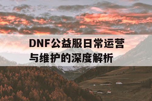 DNF公益服日常运营与维护的深度解析