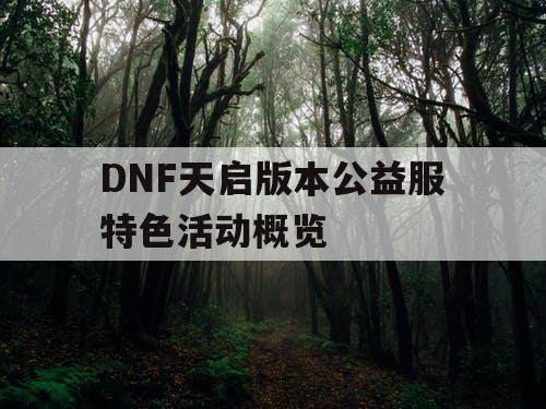 DNF天启版本公益服特色活动概览