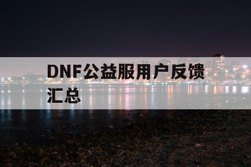 DNF公益服用户反馈汇总