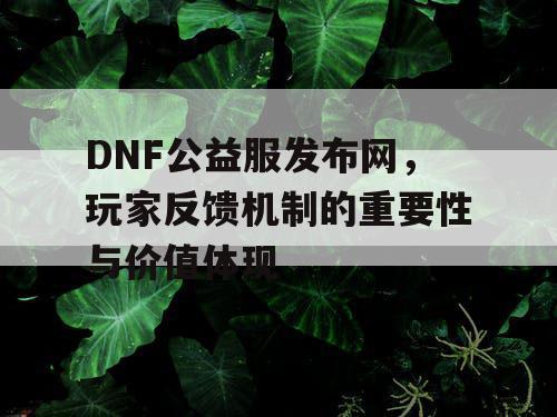 DNF公益服发布网	，玩家反馈机制的重要性与价值体现