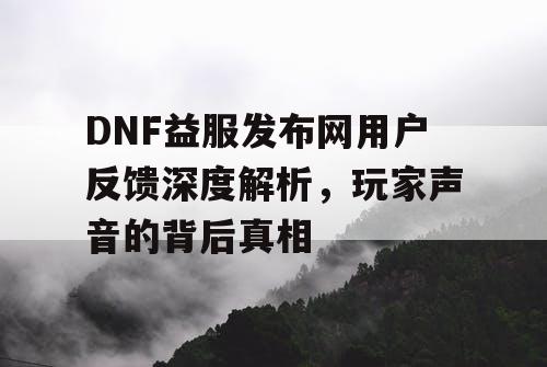 DNF益服发布网用户反馈深度解析	，玩家声音的背后真相