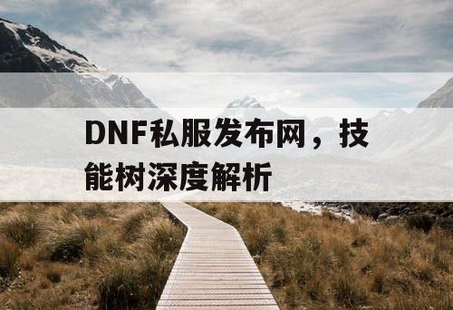 DNF私服发布网，技能树深度解析