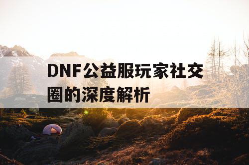 DNF公益服玩家社交圈的深度解析