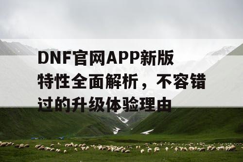 DNF官网APP新版特性全面解析，不容错过的升级体验理由