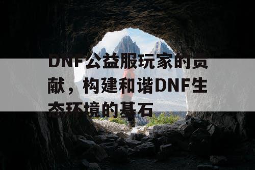 DNF公益服玩家的贡献	，构建和谐DNF生态环境的基石