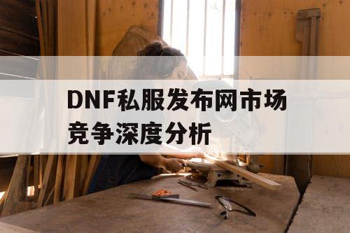 DNF私服发布网市场竞争深度分析