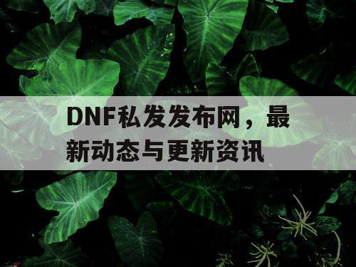 DNF私发发布网	，最新动态与更新资讯