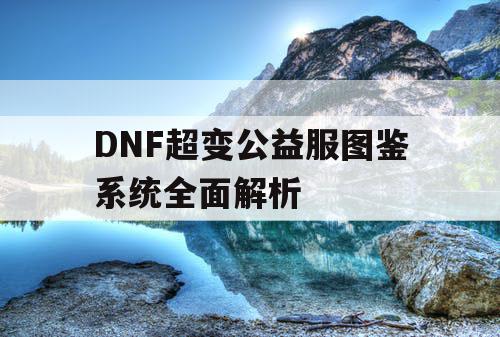 DNF超变公益服图鉴系统全面解析