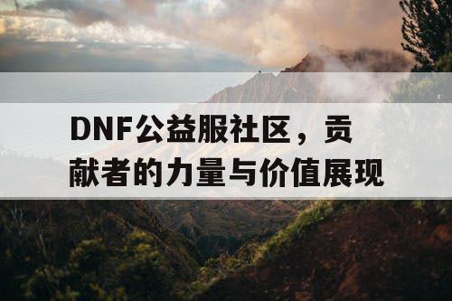 DNF公益服社区，贡献者的力量与价值展现