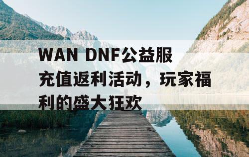 WAN DNF公益服充值返利活动，玩家福利的盛大狂欢